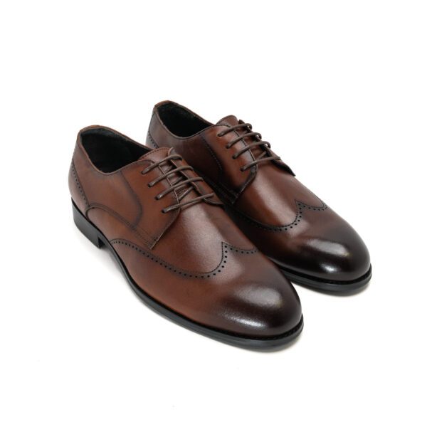 Wingtip Brown Leather Shoes pair by snover